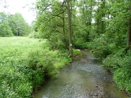 Sázavka 1P-silnič. můstek pod obcí Sázavka-9.6.12.JPG